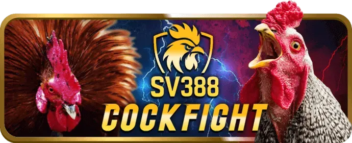Đồng ý điều khoản và hoàn tất đăng ký sm66 link